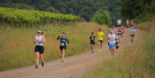 Wine Run Brasil